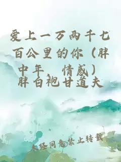 爱上一万两千七百公里的你 (胖中年，情感）