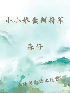 小小娇妻驯将军