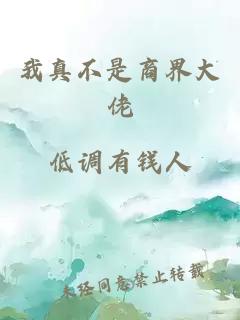 我真不是商界大佬